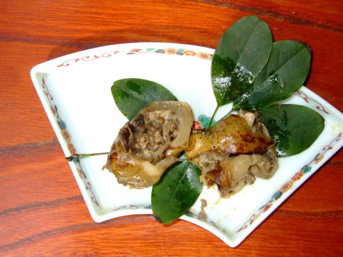Aga Wasai-Kan酒店 外观 照片